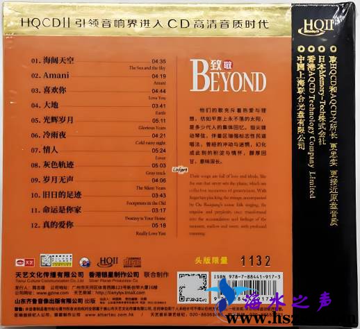 区瑞强《致敬BEYOND HQⅡ》