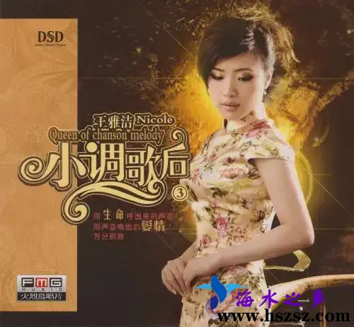 小调歌后3DSDCOVER.webp