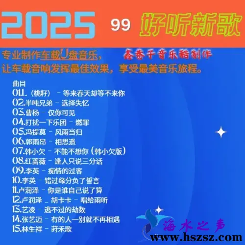 群星《2025好听新歌99》.webp