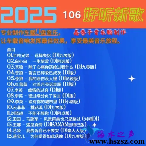 群星DJ《2025好听新歌106》.webp