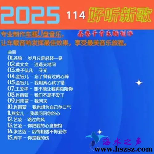 群星《2025好听新歌114》.webp