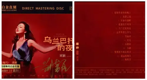 乌兰巴托的夜.webp