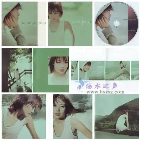 一个人的情歌.webp